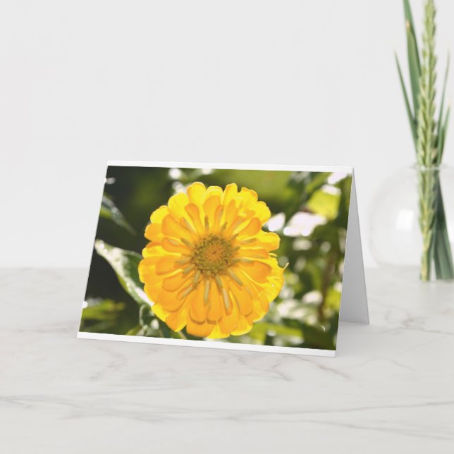 Yellow floral yellow flower yellow daisy card (Front)
