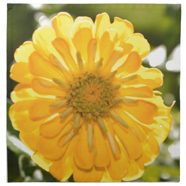 Yellow floral yellow flower yellow daisy cloth napkin (Front)