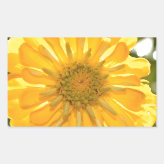 Yellow floral yellow flower yellow daisy rectangular sticker (Front)