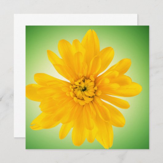 Yellow flower (Front/Back)