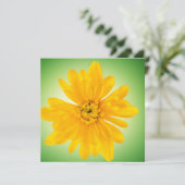 Yellow flower (Standing Front)