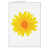 Yellow Flower (Front)