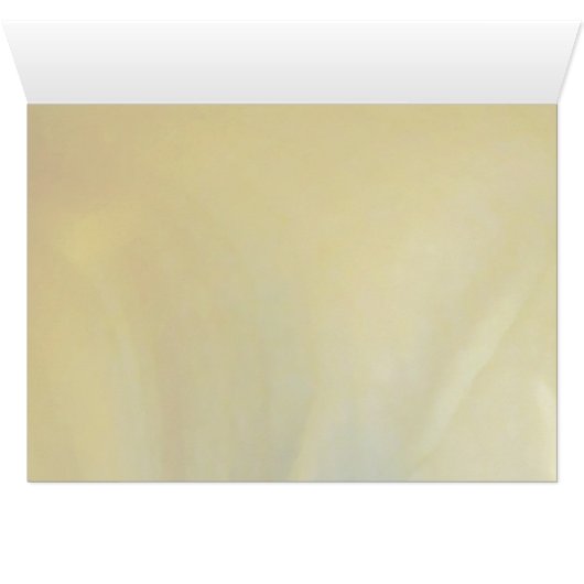 Yellow Flower... (Inside Horizontal (Bottom))