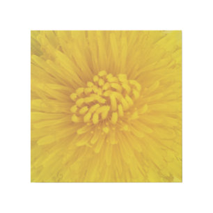 Yellow Flower 12" x 12" Gallery Wrap