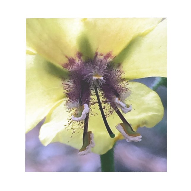 Yellow Flower 3 Notepad (Front)
