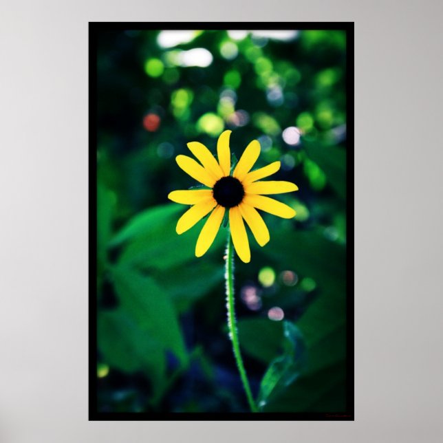 Yellow Flower #5033 Poster (Front)