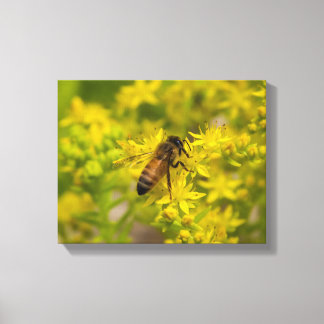 Yellow Flower and Honey Bee Maleny 2016 Canvas Print