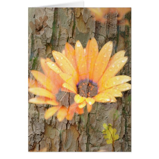 Yellow Flower Bark Cards (Front)