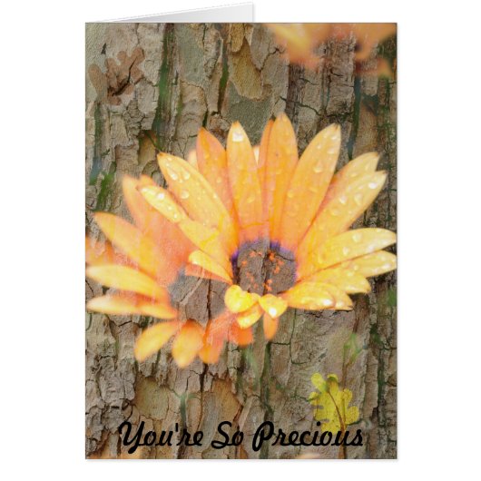 Yellow Flower Bark Precious Cards (Front)