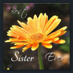 Yellow Flower "Best Sister Ever" Square Print<br><div class="desc">Lovely yellow flower "Best sister ever" square print. Lovely photo print to say thank you to your sister. Original photograph by Cherie Haines.</div>