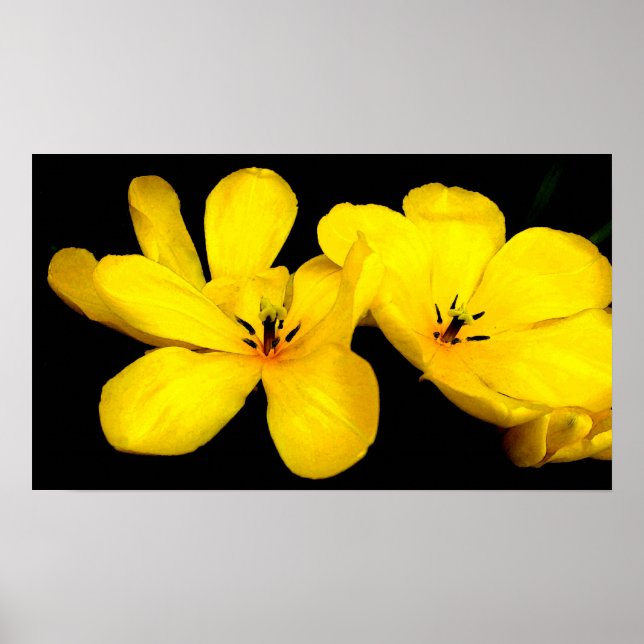 Yellow Flower Canvas Print (Front)
