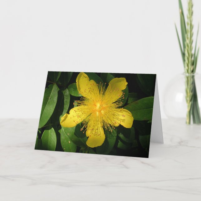 Yellow Flower Card (Front)