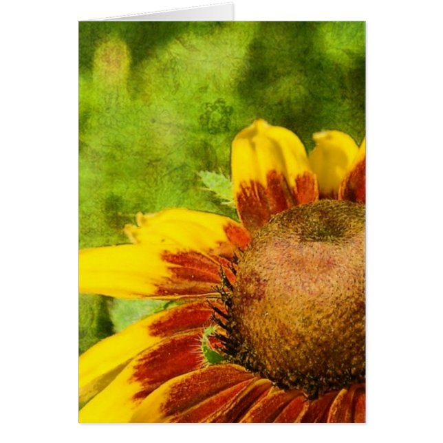 Yellow Flower Cards (Front)