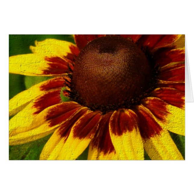 Yellow Flower Cards (Front Horizontal)