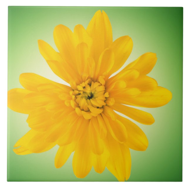 Yellow flower ceramic tile (Front)
