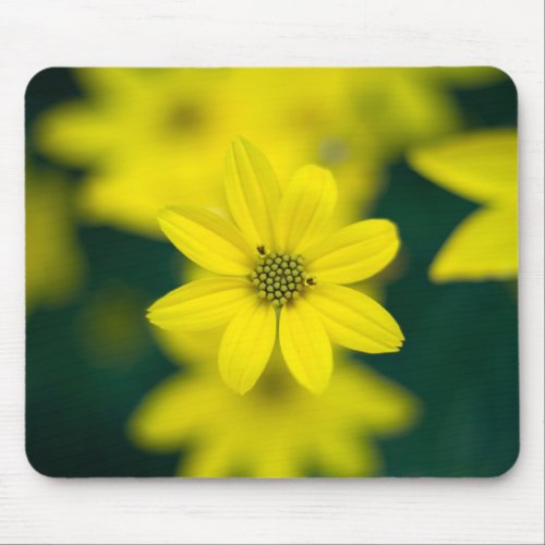 yellow flower close 2 mouse pad