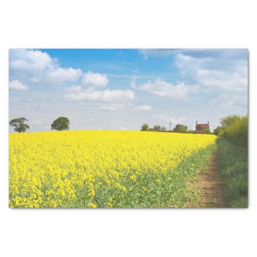 Yellow Flower Field As Far As The Eye Can See Farm Tissue Paper