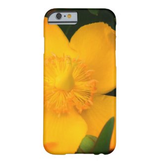 Yellow Flower  iPhone / iPad case