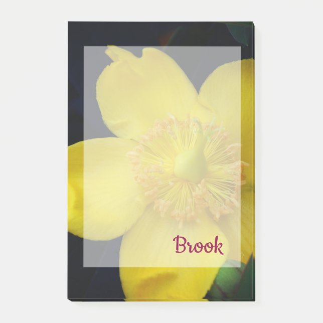 Yellow flower Name  Notes (Front)