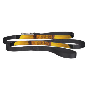 Yellow flower on black background pet leash