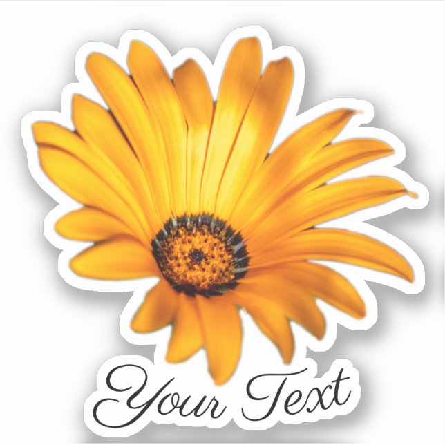 Yellow flower petals of orange blossom in spring sticker (Front)