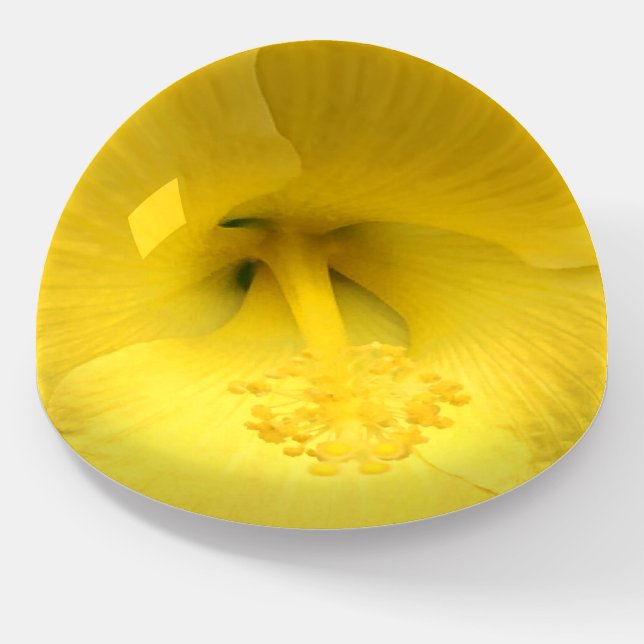 Yellow Flower Photo Paperweight (Angled)
