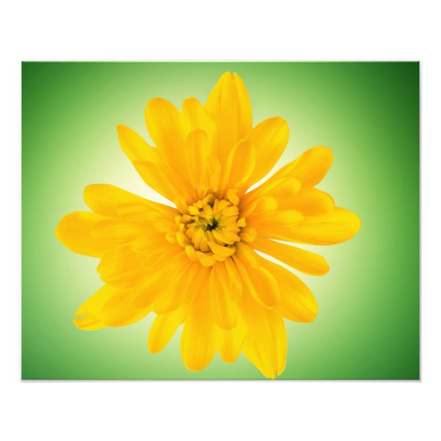 Yellow flower photo print (Front)