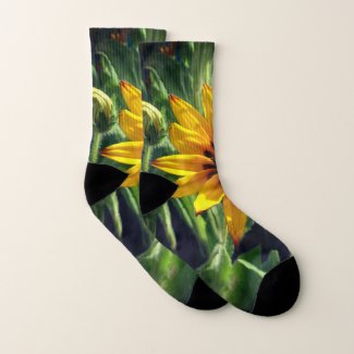 Yellow Flower Photo Socks