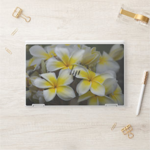 Yellow Flower Photography, Hawaii Plumeria HP Laptop Skin