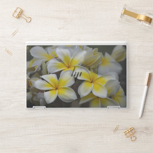 Yellow Flower Photography, Hawaii Plumeria HP Laptop Skin (Desk)