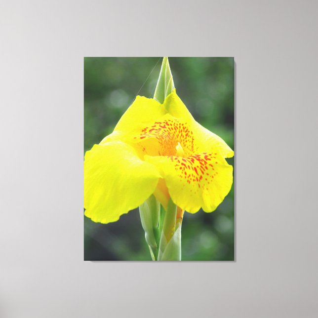 Yellow Flower Portrait Canvas Print (Front)