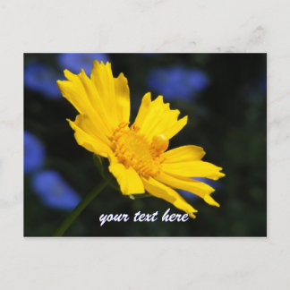 Yellow Flower Postcard