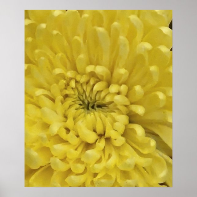 Yellow Flower Poster (Front)