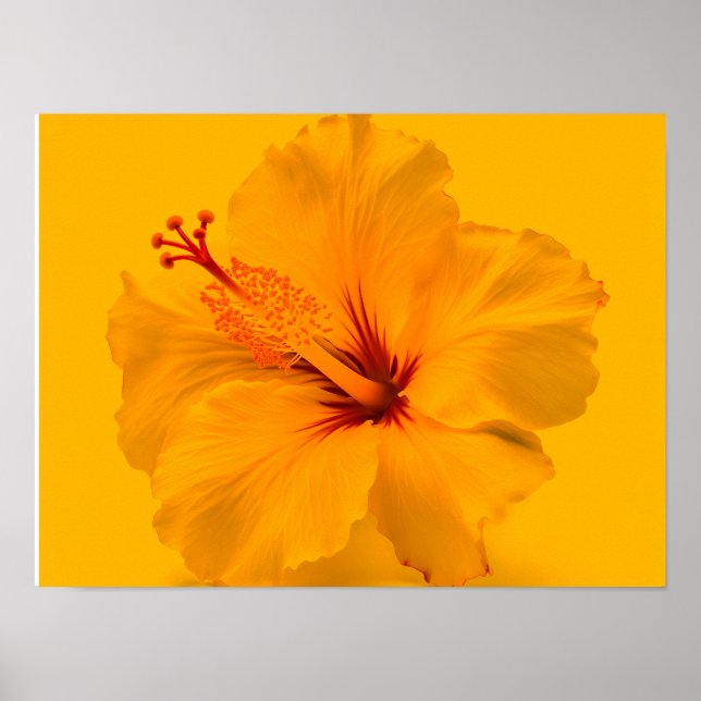 Yellow Flower Poster (Front)