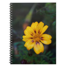 Yellow Flower Spiral Notebook