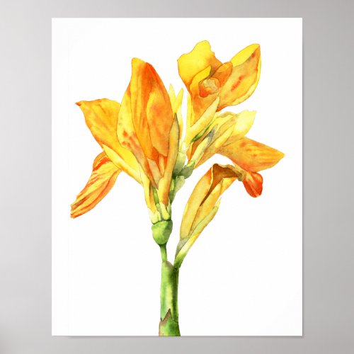Yellow Flower Watercolor Painting Fine Art Poster