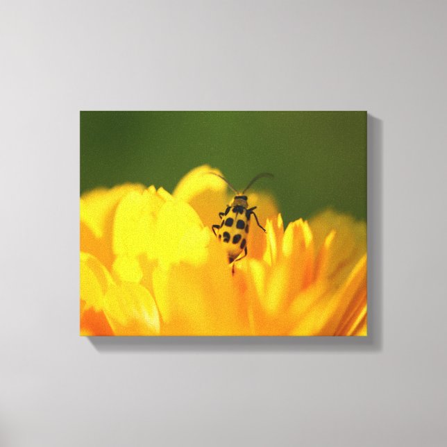 Yellow flower  Wrapped Canvas Print (Front)