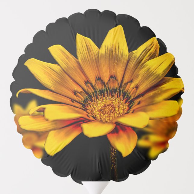Yellow Flowering Gerbel Balloon (Back)