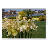 Yellow Flowers (Front Horizontal)