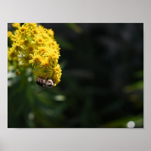 Yellow Flowers Bee Bumblebee Nature Photography Poster