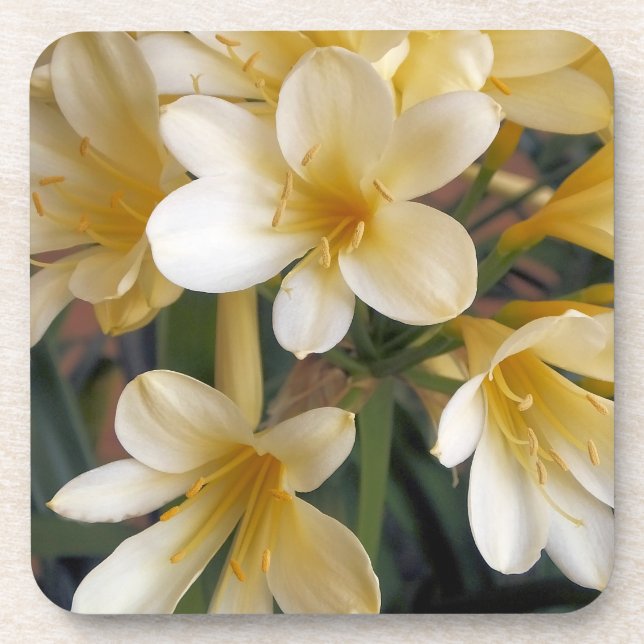 YELLOW FLOWERS BEVERAGE COASTER (Front)