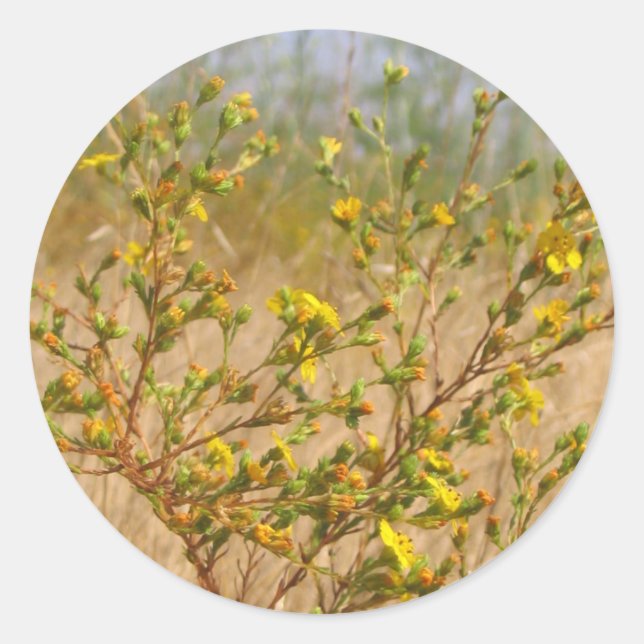Yellow Flowers Bush Sticker (Front)