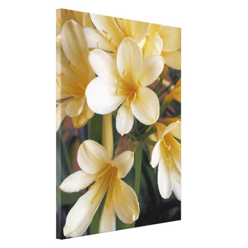 YELLOW FLOWERS CANVAS PRINT Zazzle
