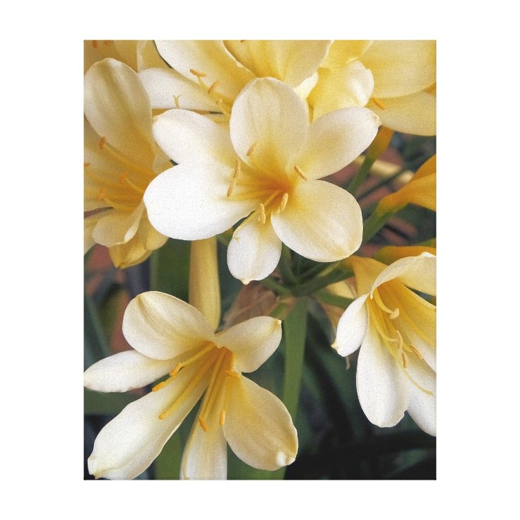 YELLOW FLOWERS CANVAS PRINT Zazzle