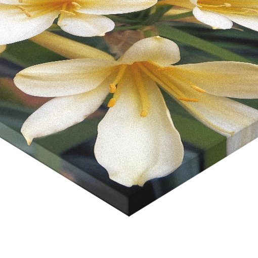 YELLOW FLOWERS CANVAS PRINT Zazzle