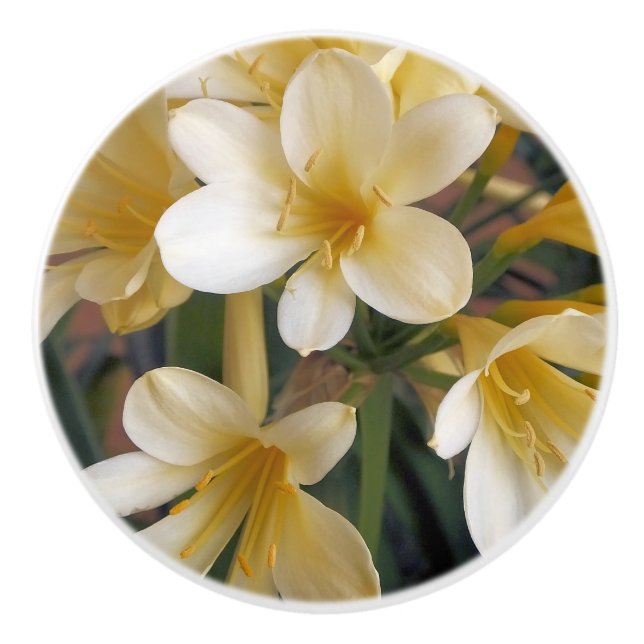 YELLOW FLOWERS CERAMIC KNOB (Front)