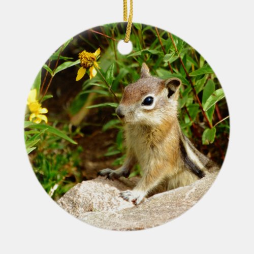 Yellow Flowers Chipmunk Ceramic Ornament