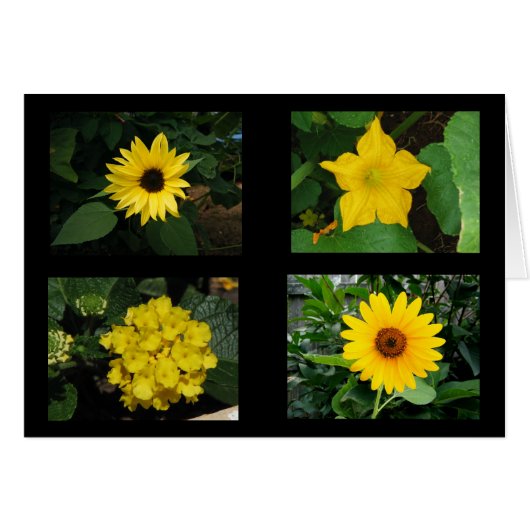 Yellow Flowers Collection Cards (Front Horizontal)