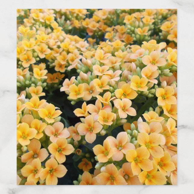 Yellow Flowers Envelope Liner (Design)