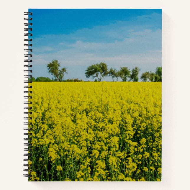 Yellow flowers field notebook (Front)